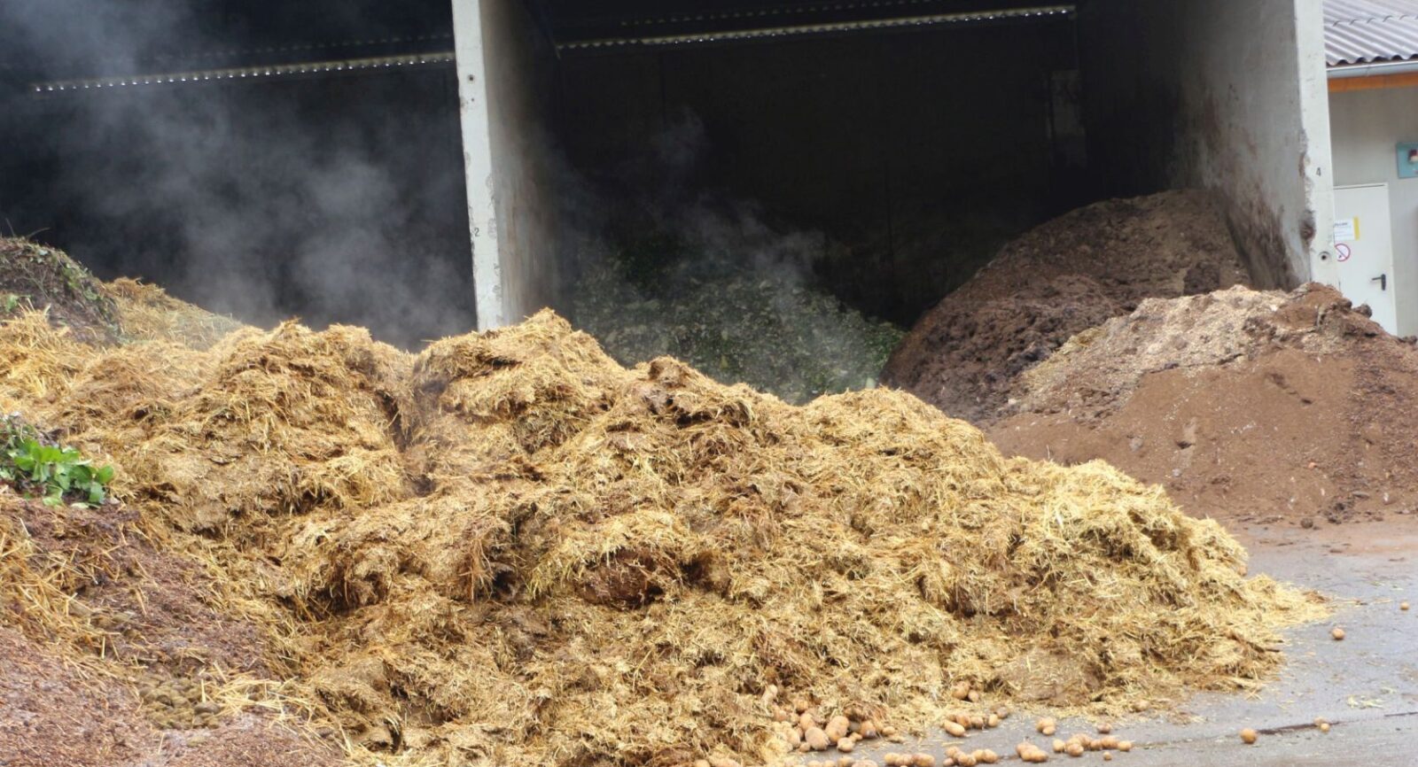 Mist wartet auf die Beimischung im Biofermenter und ist farbenfroh – grün für Rüstabfälle, braun für Hühnermist, hellbraun für Rindermist.